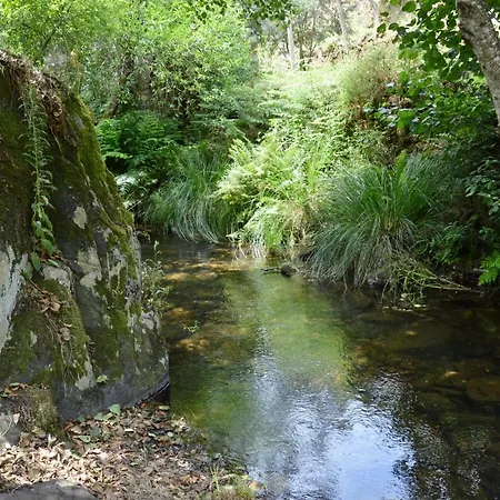 Sozen Mill *